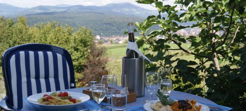 霍亨弗卢姆酒店(Hotel Hohe Flum)图片