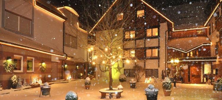 普隆德菲磨坊乡村酒店(Landhotel Pfrondorfer Mühle)图片