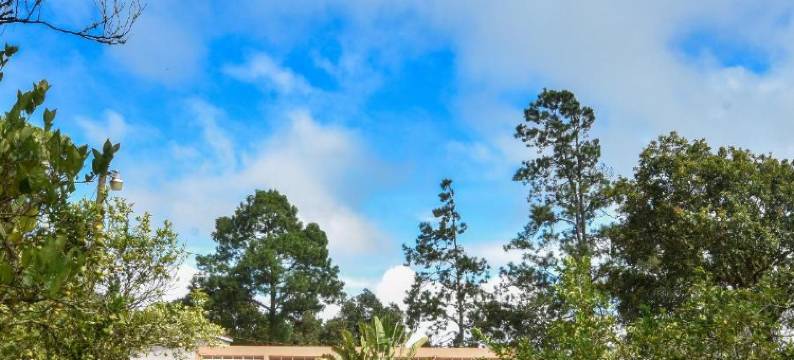 Uyuca Vista家庭别墅(Uyuca Vista Family Villa)图片