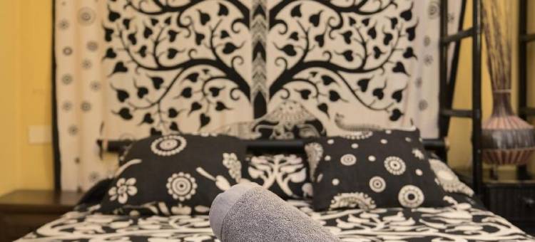 洛斯阿米戈斯巢旅舍(Los Amigos Nest Hostel)图片