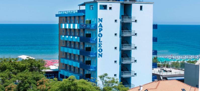 拿破仑酒店(Hotel Napoleon)图片