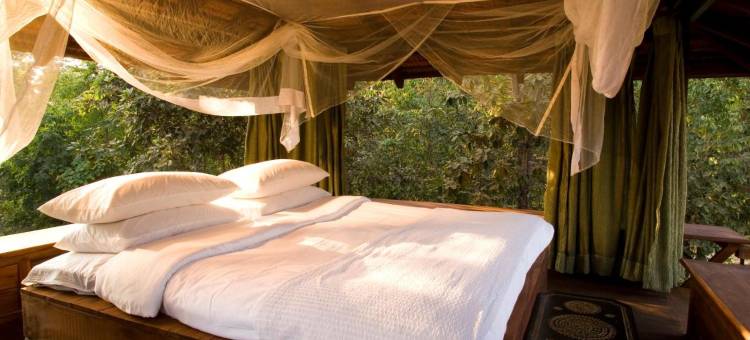 Baghvan Pench National Park - A Taj Safari Lodge图片