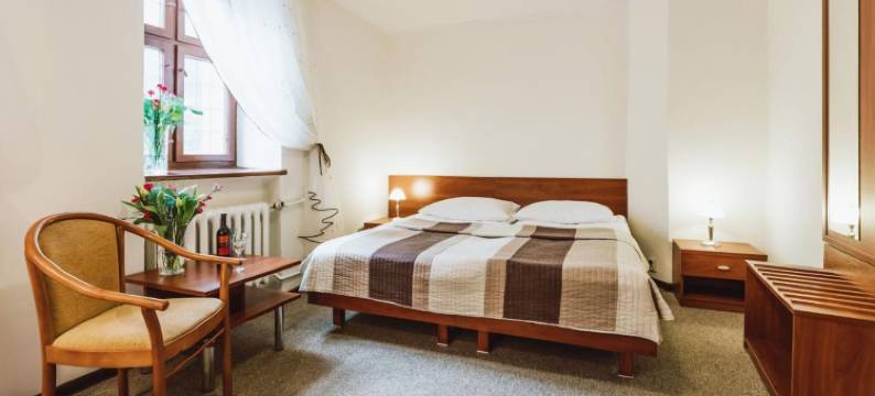 格曼达托瑞酒店(Hotel Gromada Toruń)图片