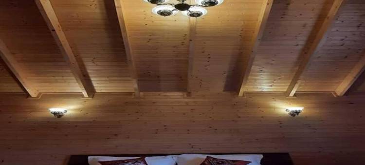 万普拉斯塔度假村(Vanprastha Resorts)图片