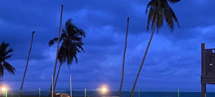 Sekepeng Penarek图片