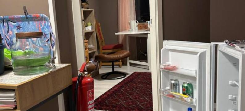 Line på Hauane1图片