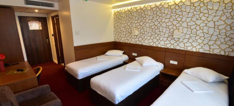 弗洛姆酒店(Hotel Forum)图片