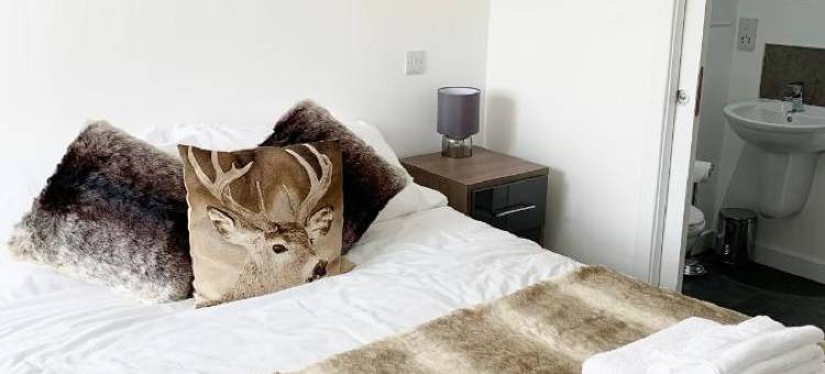 The Station Hotel图片