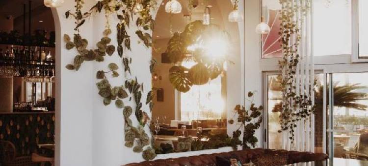 玫瑰茶酒店(Le Rose Thé)图片