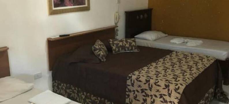 Portal Da Mata图片