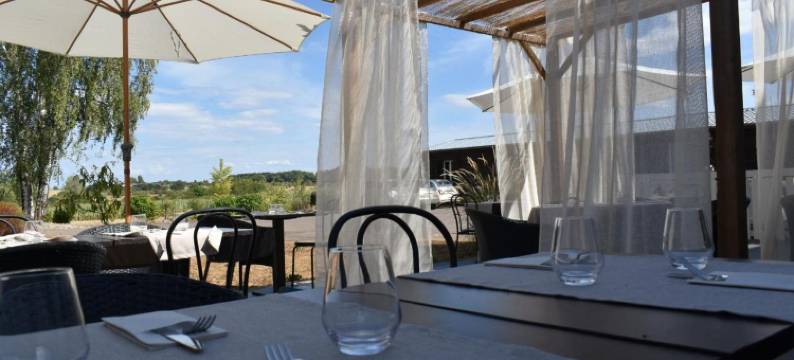 白马酒店(Le Cheval Blanc - Lac du der - Logis Hotel)图片