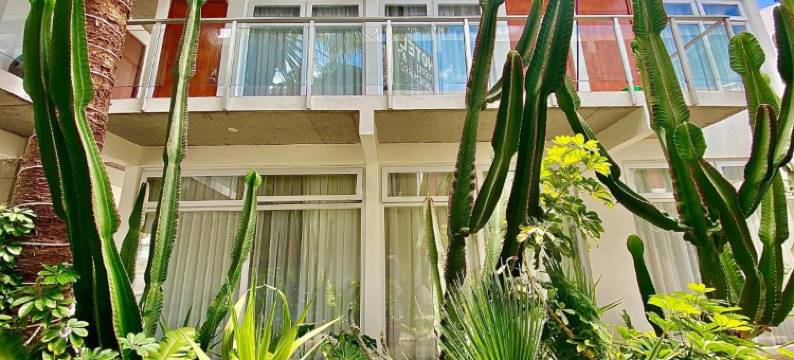 钦查罗港酒店(Hotel Puerto Chinchorro)图片