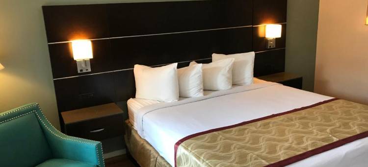 橄榄树旅馆及套房, 温德姆豪生(Olive Tree Inn & Suites, a Howard Johnson by Wyndham)图片