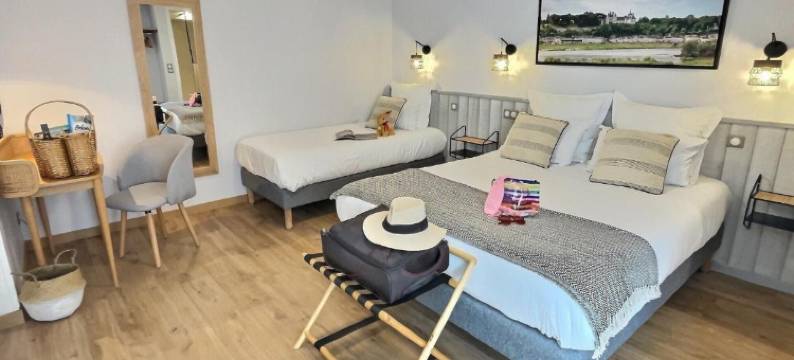 天鹅酒店(Logis Hôtel du Cygne)图片