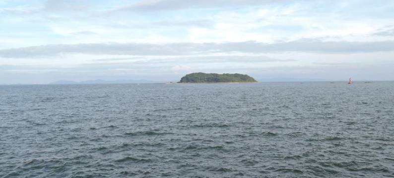 尾崎民宿(Minshuku Osaki)图片