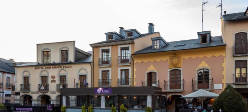 埃洛伊比耶索广场酒店(Hotel Aroi Bierzo Plaza)图片
