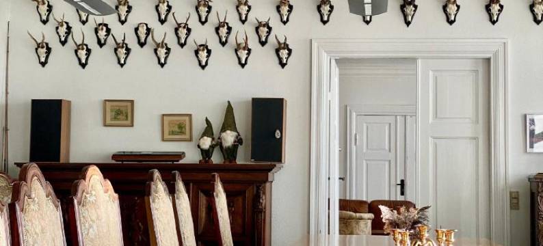 比耶尔马克酒店和课程中心(Bjerremark Hotel og Kursuscenter)图片