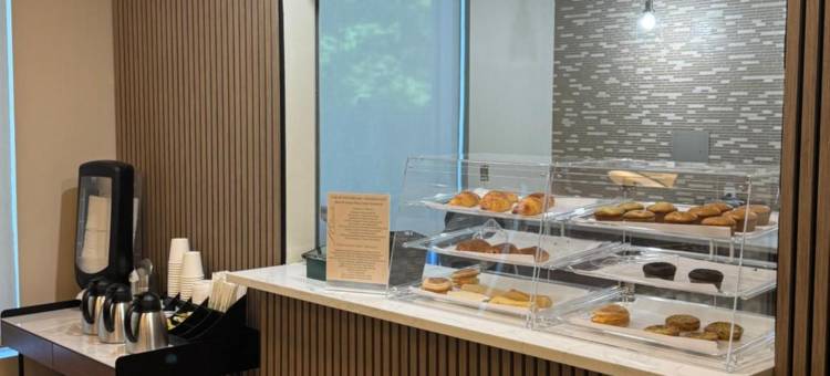 蒙特利尔贝斯特韦斯特优质酒店(Best Western Plus Hotel Montreal)图片
