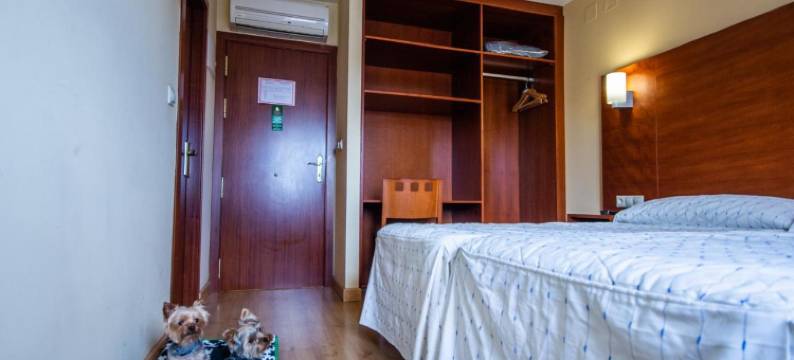 维耶拉阿斯图里亚斯酒店(Pension Viella Asturias)图片