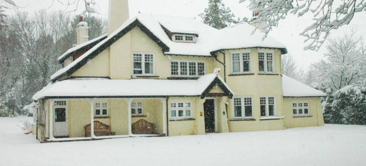 利文德尔酒店(Rivendell)图片