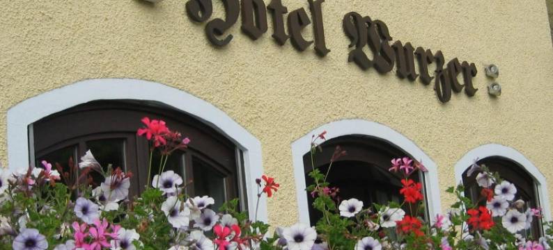 沃泽酒店(Hotel Wurzer)图片