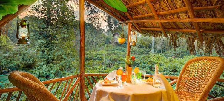 常青县度假村库格 - 咖啡种植园度假屋(Evergreen County Retreat-India's First Adventure Veg Retreat)图片