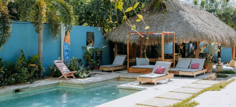 冲浪巢旅舍(SurfNest Hostel)图片