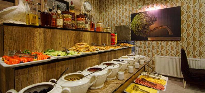 卡尔斯康纳克酒店(Kars Konak Hotel)图片