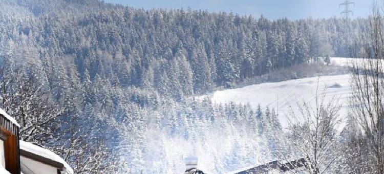 Die MÜHLE #10图片