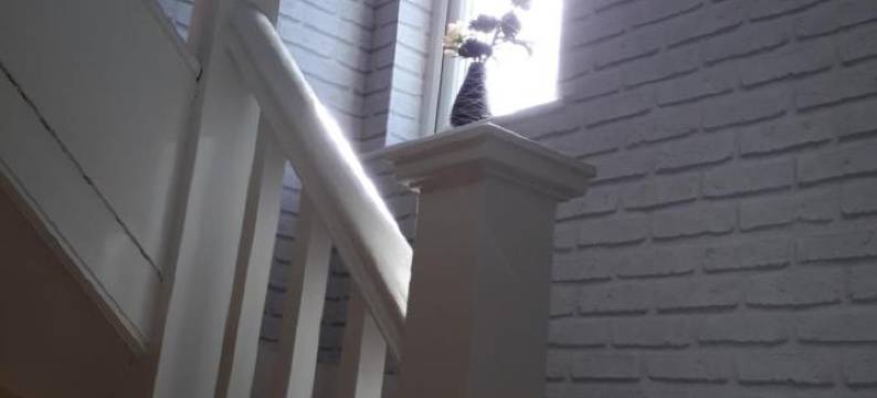 山南度之家酒店(Shenandoah House)图片