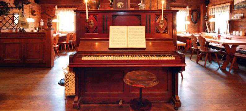 达门亨克旅馆酒店(Dammschenke Gasthof & Hotel)图片