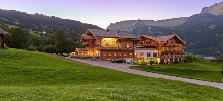阿斯彭阿尔卑斯休闲酒店(Aspen Alpine Lifestyle Hotel)图片