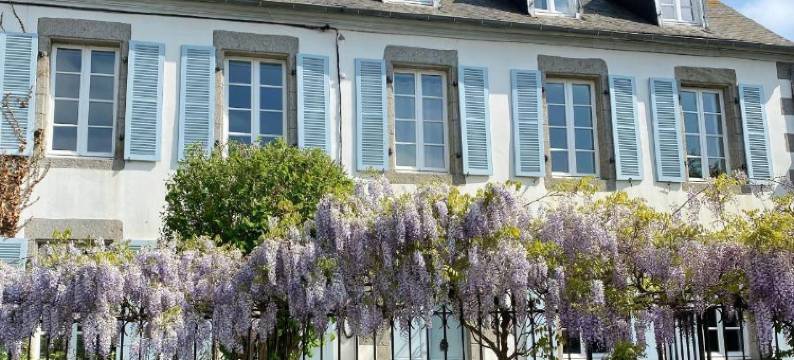 艺术品(Artefact)图片