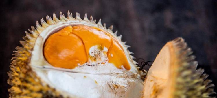 班丹海滩民宿(Pandan Beach Homestay)图片