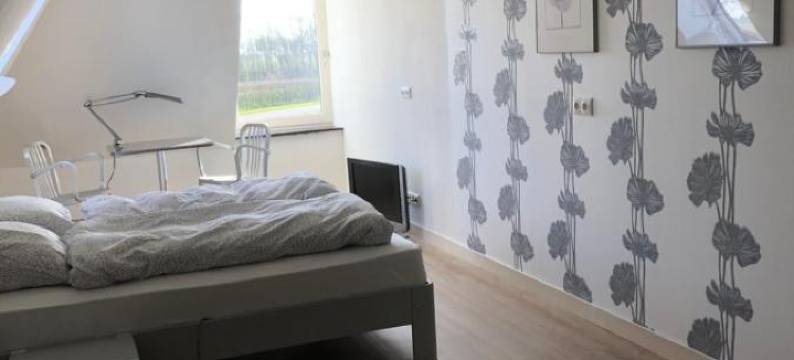 B&B de Gulden Halsband Pingjum图片