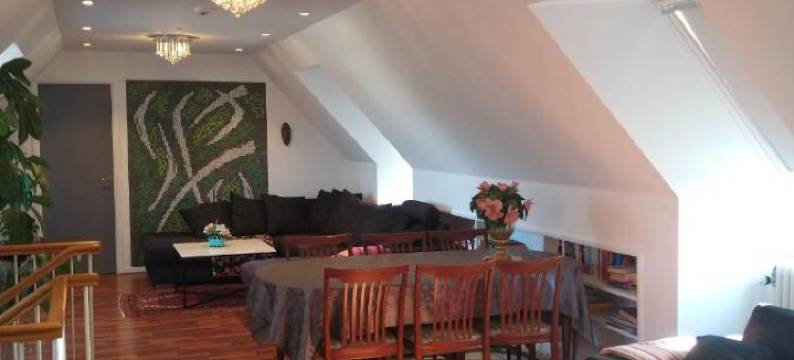 西格内道尔别墅青年旅舍(Villa Signedal Hostel)图片