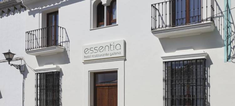 加莱里亚艾森提亚酒店(Hotel Galería Essentia)图片