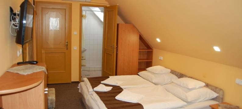 朱迪特旅馆(Judit Panzio)图片