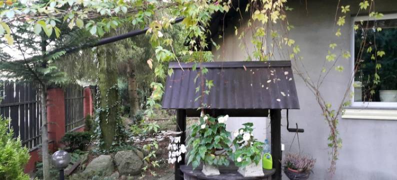 Pensjonat Europa图片