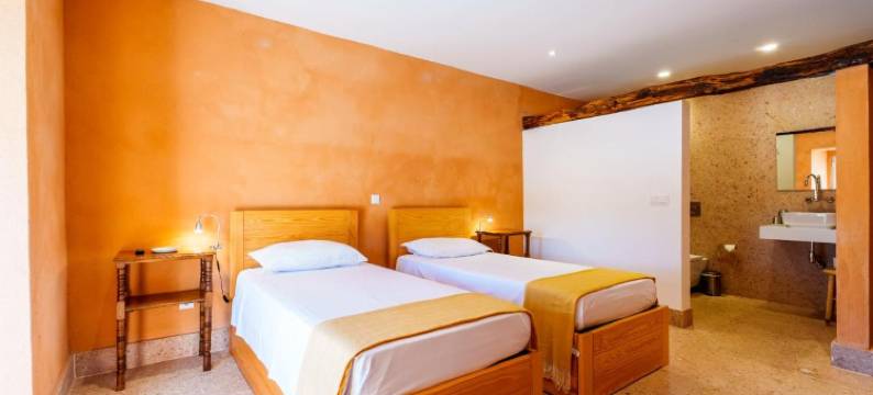 昆塔柯尔提卡 - 托雷民宿 - 青年旅舍(Quinta da Cortiça - Casa da Torre)图片