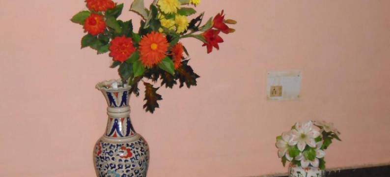 阿吉亚尔旅馆(Aguiar Guest House)图片