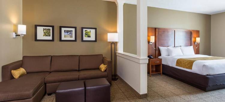 哈特维尔北坎顿舒适套房酒店(Comfort Suites Hartville-North Canton)图片