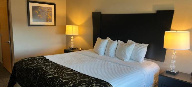 奥科博吉套房酒店(Okoboji Inn & Suites)图片