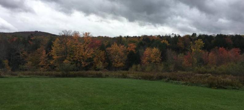 一夜之间风中柳树旅馆(Wind in the Willows Overnight)图片