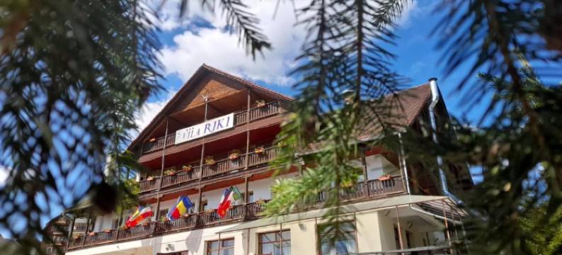 瑞吉别墅酒店(Vila Riki)图片