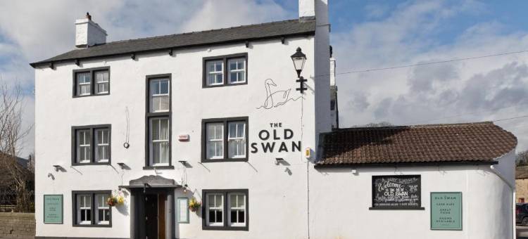 老天鹅(Old Swan)图片
