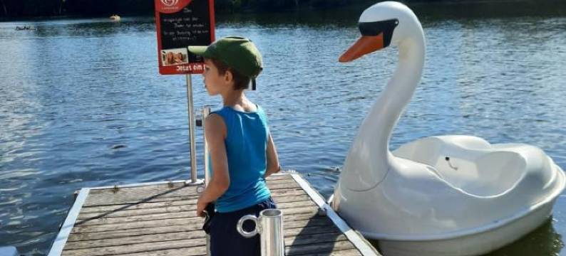 城市公园酒店(Hotel am Stadtpark)图片