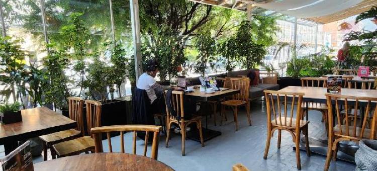 Socialtel Parque 93 Bogota = Socialtel Parque 93 波哥大(Socialtel Parque 93 Bogota - Formerly Selina Parque 93 Bogota)图片