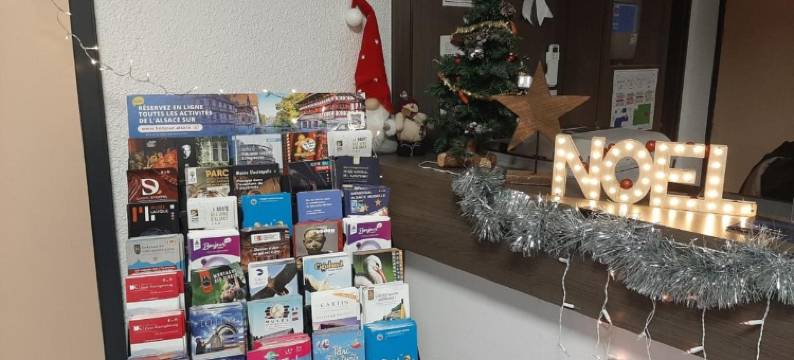 科尔玛中央布里莫酒店(Hotel Primo Colmar Centre)图片