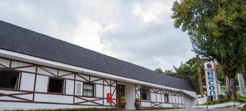 阿斯科纳酒店(Hotel Ascona)图片